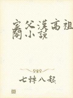 家父汉高祖笔趣阁小说封面