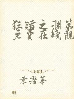 狂赌之渊第二季免费在线观看封面