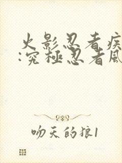 火影忍者疾风传:究极忍者风暴