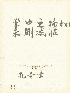 掌中之物txt未删减版