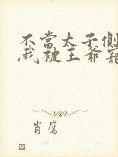 不当太子侧妃后,我被王爷宠成宝小说封面