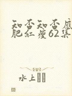 知否知否应是绿肥红瘦62集封面