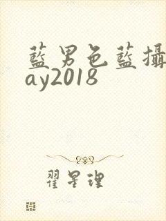 蓝男色蓝摄摄gay2018