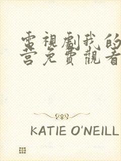 电视剧我的特一营免费观看