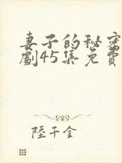 妻子的秘密电视剧45集免费观看封面