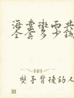 海棠微雨共归途全套多少钱