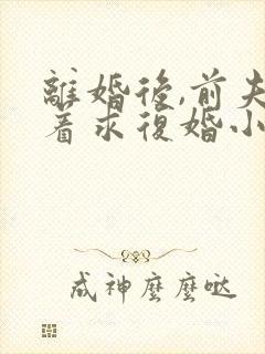 离婚后,前夫哭着求复婚小说免费阅读