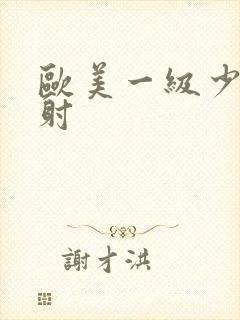 欧美一级少妇内射封面