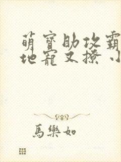 萌宝助攻霸道爹地宠又撩 小说封面