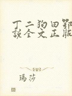 丁二狗田鄂茹小说全文正版免费阅读