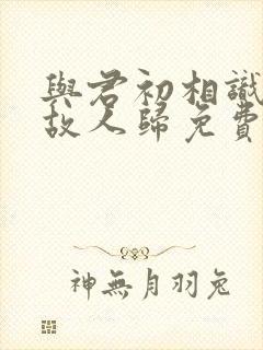 与君初相识恰似故人归免费观看全集