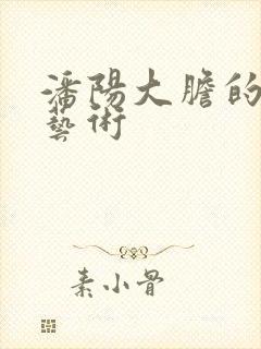 潘阳大胆的裸体艺术封面