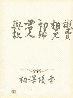 与君初相识犹如故人归免费看封面