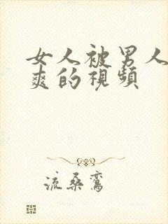 女人被男人操到爽的视频