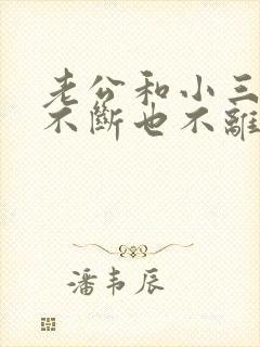 老公和小三一直不断也不离婚封面