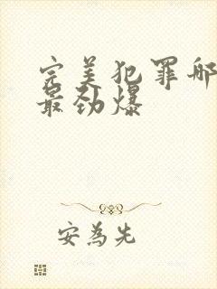 完美犯罪哪一集最劲爆