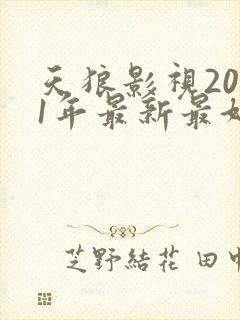 天狼影视2021年最新最好看的电视剧