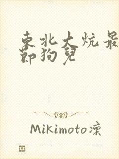 东北大炕最新章节狗儿封面