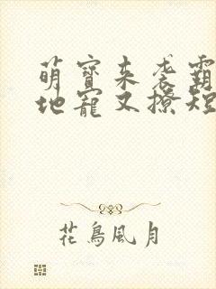 萌宝来袭霸总爹地宠又撩短剧