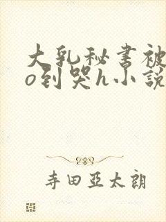 大乳秘书被cao到哭h小说封面