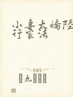 小妻太娇陆爷执行家法