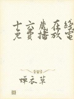 十六岁在线观看免费播放电视剧大全