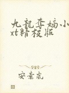 九龙夺嫡小说txt精校版