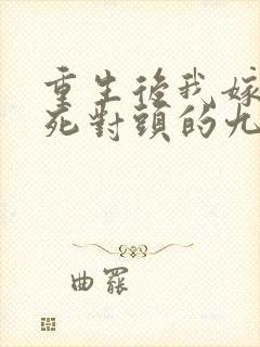 重生后我嫁给了死对头的九叔