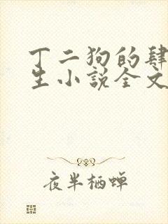 丁二狗的肆意人生小说全文阅读完整版下载