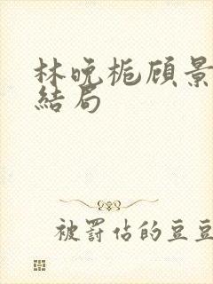 林晚栀顾景琛大结局封面