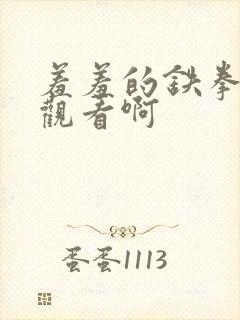 羞羞的铁拳免费观看啊