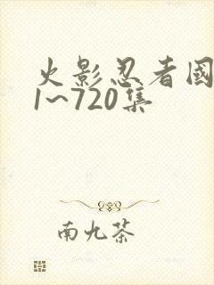 火影忍者国语版1~720集