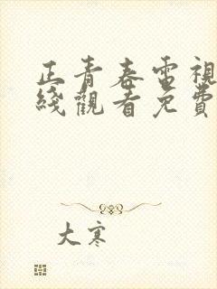 正青春电视剧在线观看免费全集封面