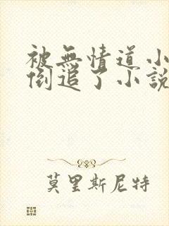 被无情道小师弟倒追了小说完整版