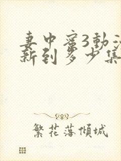 妻中蜜3动漫更新到多少集了