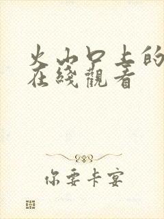 火山口上的2人在线观看封面