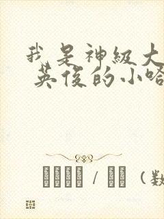 我是神级大反派 英俊的小哈