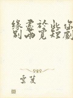 缘尽于此你我一别两宽短剧免费观看全集