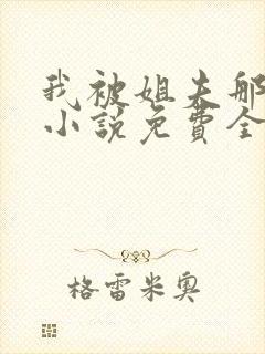 我被姐夫那些年小说免费全文阅读封面