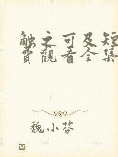 触之可及短剧免费观看全集高清