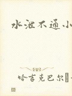 水泄不通小说