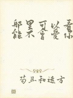 哪里可以看我可能不会爱你