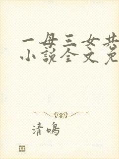 一母三女共一婿小说全文免费阅读