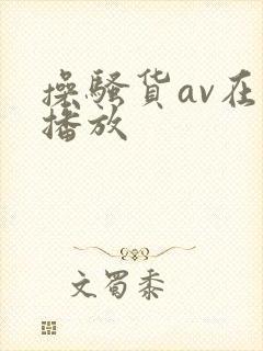 操骚货av在线播放