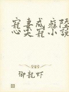 宠妻成瘾陆少的心尖宠小说封面