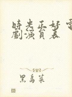 时光正好 电视剧演员表封面