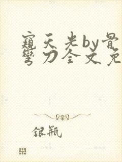 窥天光by骨色弯刀全文免费阅读笔趣阁