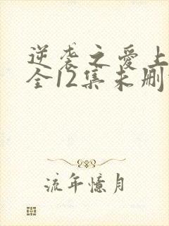 逆袭之爱上情敌全12集未删减