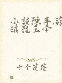 小说陈平,苏雨琪龙王令