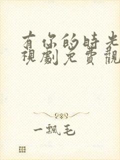 有你的时光里电视剧免费观看全集完整版